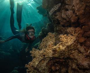 Turkish free diver raises awareness for coral reefs on World Oceans Day