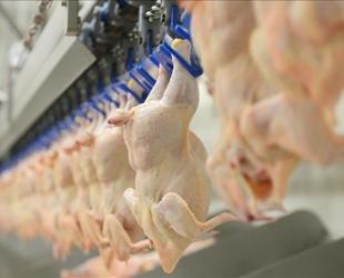 Major Turkish chicken producers hit by trustee appointments, high-level arrests