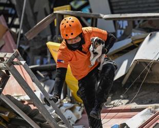 Deadly Philippine quake ‘raised seabed by two meters’