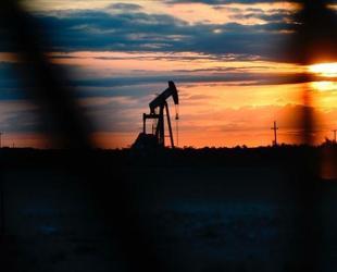 Oil stocks of OECD countries fall to lowest level since 1990: IEA