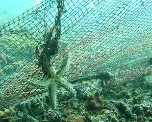 95 football fields’ worth of ghost nets removed from Marmara Sea