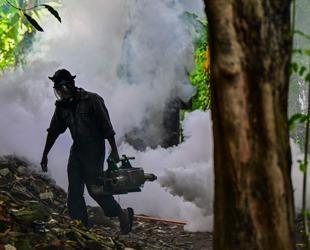 Sri Lanka troops to battle dengue mosquitoes