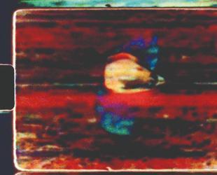 Salt Beyoğlu screenings to examine link between cinema, nature