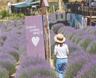 Sakarya hosts first Culture Route Fest