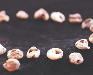Neanderthals, modern humans shared cultural traditions in Türkiye