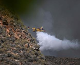Eleven dead, 19 missing as Spain wildfire roars through village
