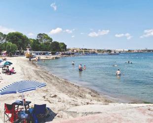 Expert warns of alarming warming in Marmara Sea over 50 years