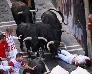 7 gored or bruised during San Fermin bull runs