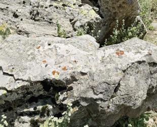 Runic inscription found at Binbir Church site
