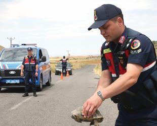 Gendarmerie patrols ‘Tortoise Valley’ to protect wildlife