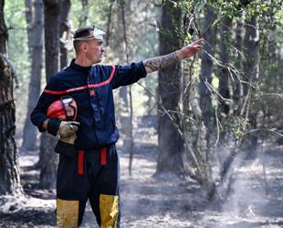Man arrested over fire in Paris park