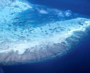 Great Barrier Reef at risk of ‘collapse,’ scientists warn