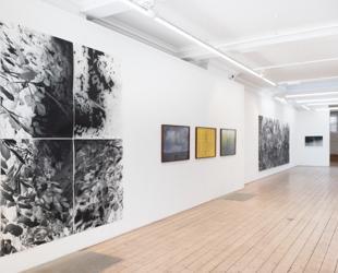 Vision Art Platform presents ‘Botanicals’ in London