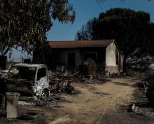 Livestock farmers fear for their livelihoods as wildfires ravage Spain