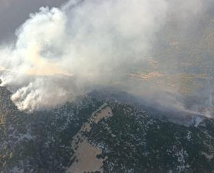 Türkiye fights Kaş fire, extends support to France