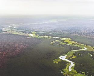 UN lists South Sudan antelope route as heritage in danger