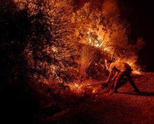 Türkiye races to contain major wildfires as hundreds evacuated