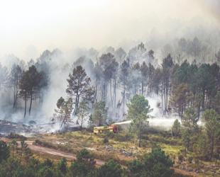 Rain dampens the France fire, as Spain reports almost no flames