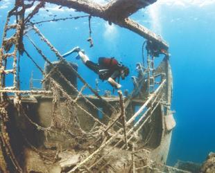 Çeşme eyes dive tourism with rich marine life