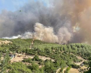 Most wildfire outbreaks under control as wind warnings persist