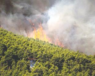 Wildfire toll mounts in Greece as blazes spread