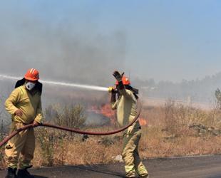 Türkiye probes 29 suspects over forest fires since June