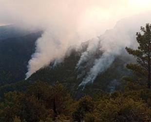 Balıkesir and Malatya wildfires under control
