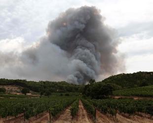 French winemakers dread smoky taste after wildfires
