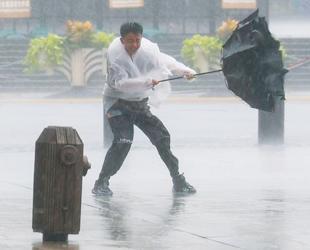 Typhoon Dolphin disrupts travel