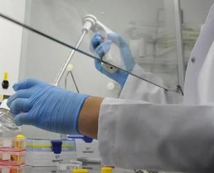 Turkish pharmaceutical sector’s R&D Spending surges 8.3-fold in five years