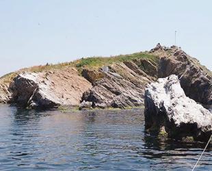 Tavşan Island’s coral model heads to COP31