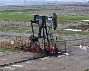Diyarbakır could produce up to three times as much oil as Gabar: Minister