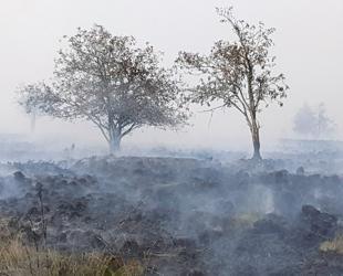Record Belgium wildfire doubles in size
