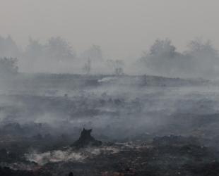 Firefighters pushing to ‘encircle’ Belgian fire