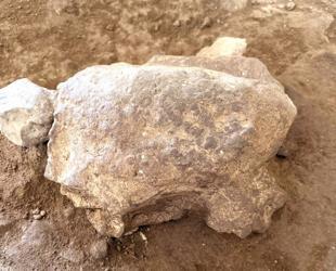Recently dug turtle figurines expose ancient ritual heritage