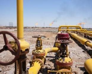 Japan to support alternative Mideast oil pipelines: Media