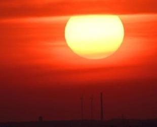 Germany reports record 15,800 heat-related deaths this summer