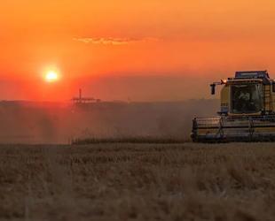 Türkiye’s strong grain stocks shield it from global supply risks: Industry official