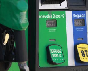 Warsh fans Fed rate hike bets, crude up on US-Iran strikes