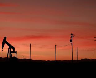 Oil rally lifts bond yields, weighs on gold