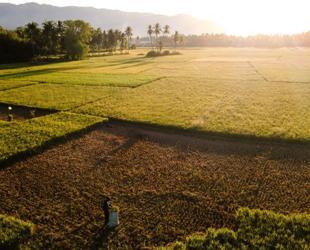 El Nino to be very strong, last until February, UN warns