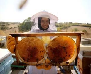 Türkiye aims for top spot in honey production