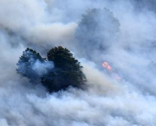 Wildfires, heat waves ‘endanger air quality’