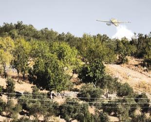 Fire shuts highway, forces evacuations in Muğla
