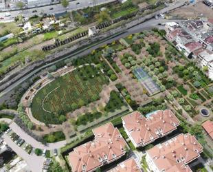 Historic Yedikule gardens set for revival after 100 years
