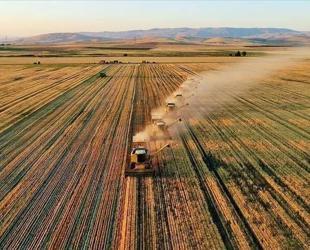 Türkiye targets greater food supply security under new Program