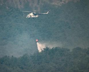 Wildfire risk persists in Türkiye despite autumn rain