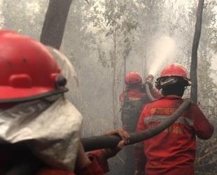 Indonesia struggling to curb forest fires