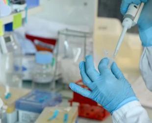 New genetic screening capabilities in Türkiye detect over 1000 disorders