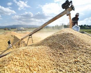 Türkiye steps up regional and global agricultural diplomacy efforts